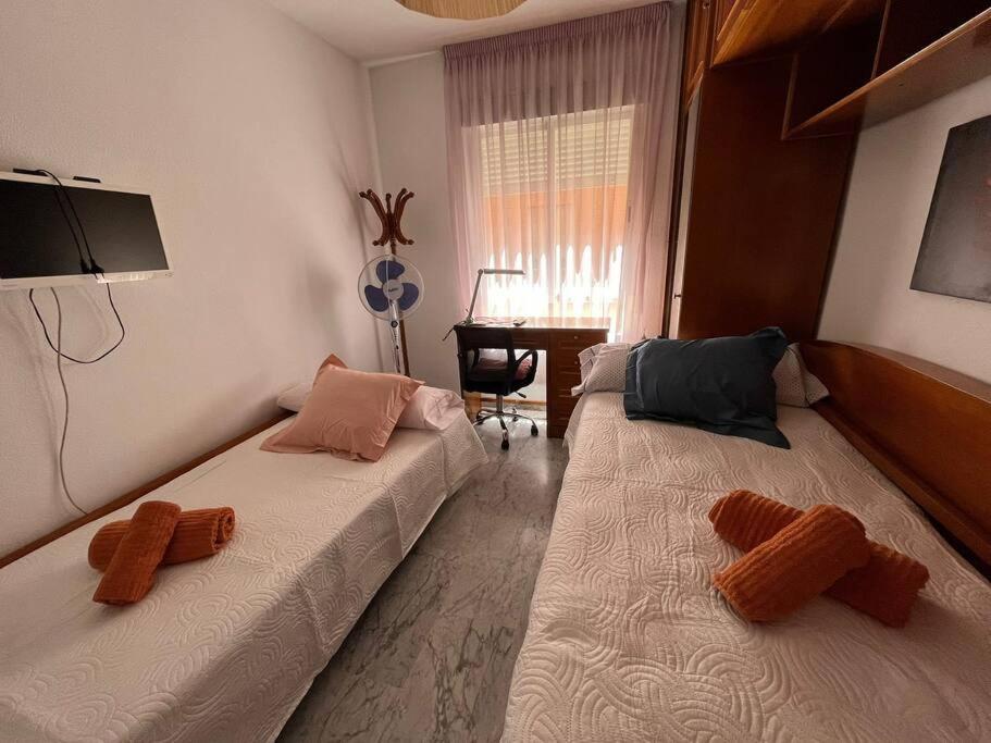 Apartamento Medina Azahara Córdoba Eksteriør billede