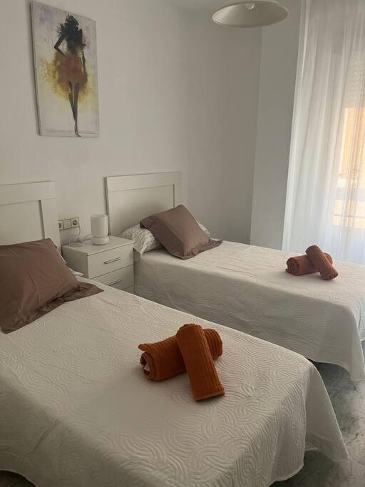 Apartamento Medina Azahara Córdoba Eksteriør billede