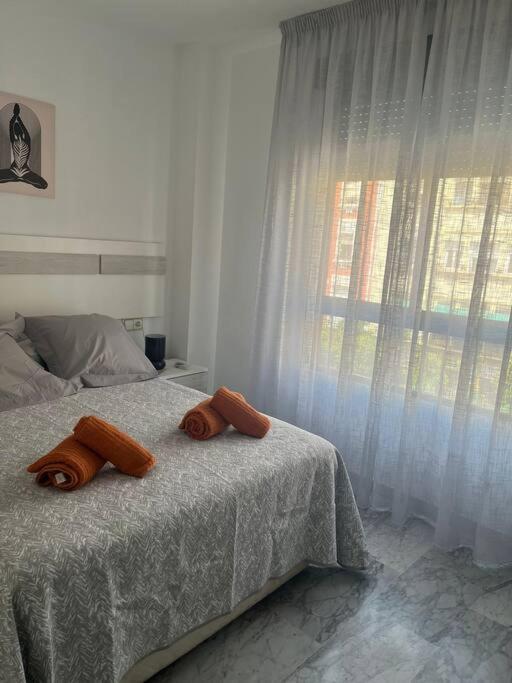 Apartamento Medina Azahara Córdoba Eksteriør billede